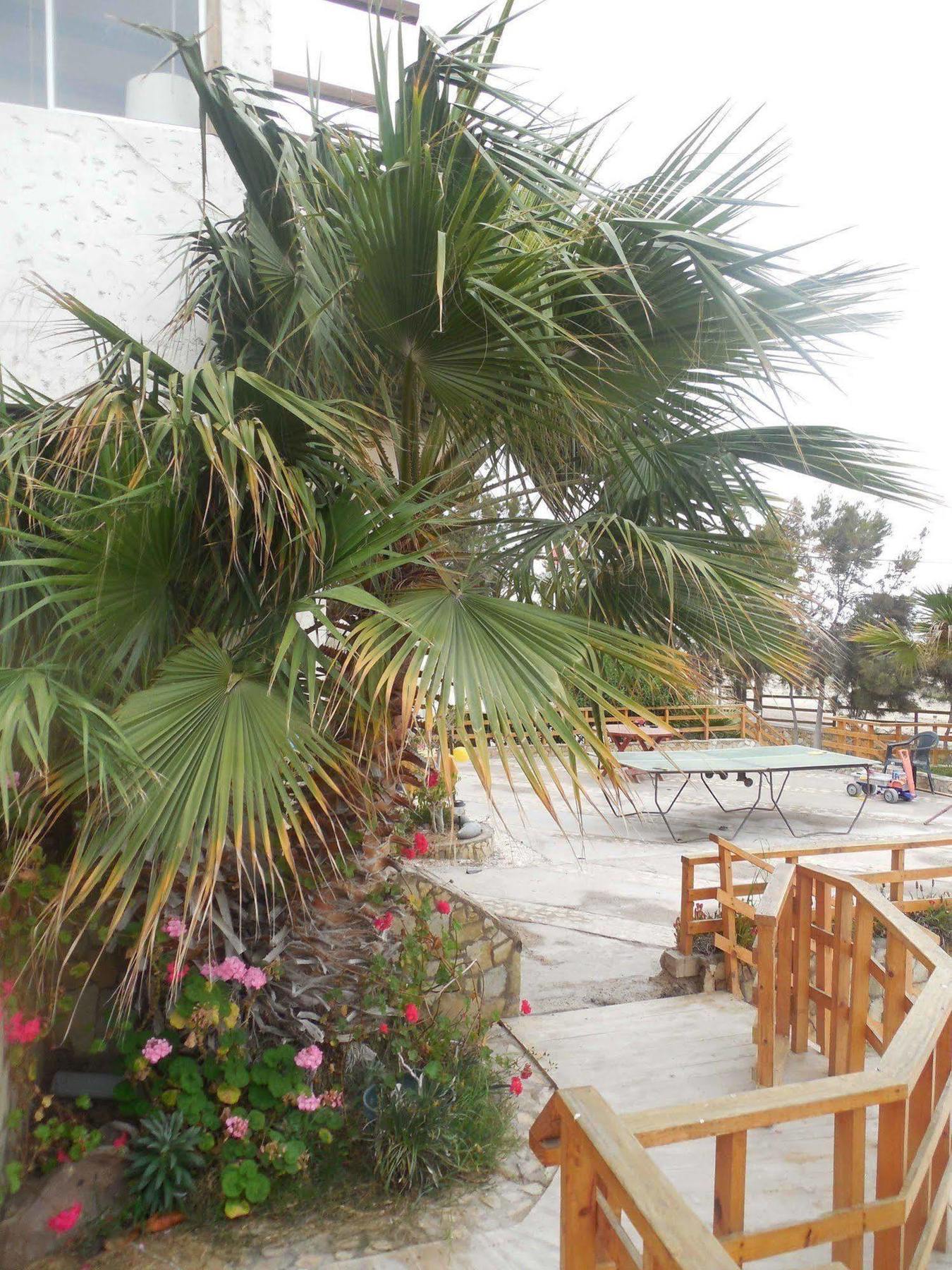 Hotel & Cabanas El Mirador Caldera Luaran gambar